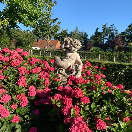 A'laise Bed & Breakfast Zedelgem